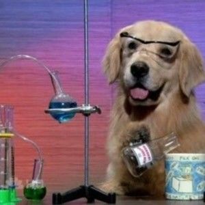 Meet your Posher, Meagan